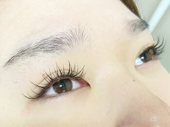 エイチアンドコー(H&Co.)/ボリュームラッシュ　100束