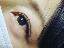 オメメビューティー(Omeme Beauty)/フラットラッシュ１００本