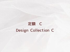 定額デザイン　C