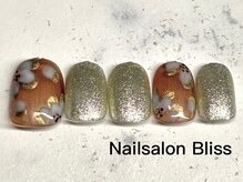 ネイルサロンブリス(nail salon Bliss)/定額シンプルアートコース￥5500
