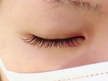 アイラッシュ ルニー(eyelash RUNY)/カラーエクステ13色組合わせ自由