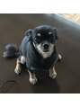 癒し~ぷアイラックス 名古屋店 動物が大好きです!写真は実家のわんちゃん♪癒されてます!