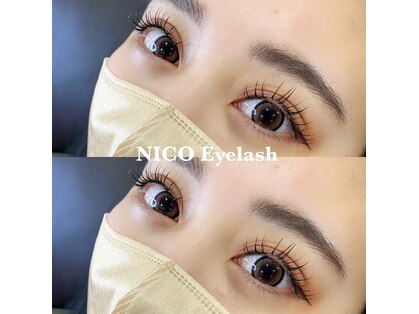 ニコ(NICO)の写真