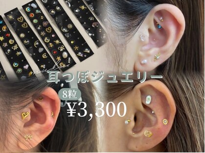 ムク(muku)の写真