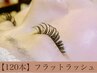【 大人気♪ 】最高級 フラットラッシュ120本 コーティング付き☆