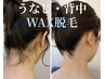 【うなじ・背中ワックス】