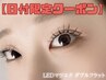 【28日、31日限定】LED無料！大人気！ダブルフラット100本　5500→4400