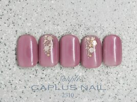 ■シンプルプラン■ 2510