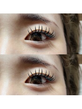 バタフライ 茅ヶ崎店(Butterfly)/パーフェクトラッシュ100束