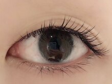 カラン 焼津店(CALIN)/フラットラッシュ80本