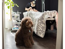 ソルテ バイ アフェリーチェ(sorte by afelice)