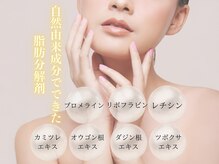 メディカルサロン ファン(FUN)/韓国発レモンボトル