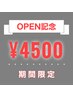 【※11/30迄のご来店※】Open記念！パリジェンヌ 上のみ ¥5000→¥4500