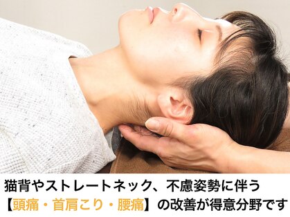 みつばち鍼灸整骨院の写真