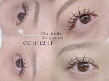 ソファー 八王子(sofa)/フラットラッシュ120本