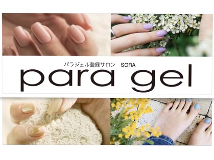 ソラ(sora)の写真