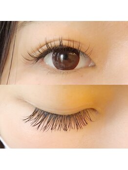 フランセス(Frances)/フラットマット140本