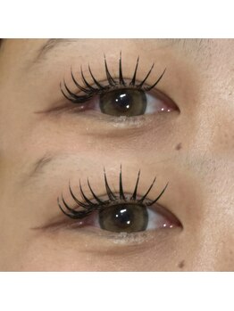 レーヴ(REVE)/フラットラッシュ160本