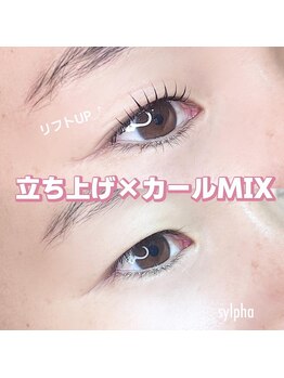 シルファ(sylpha)/まつ毛パーマ