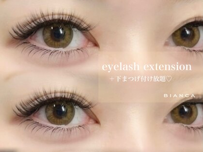 ビアンカ 亀戸店(Bianca)の写真