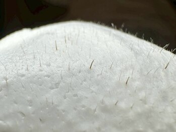 ミイン(mi-in)/眉スタイリング用品