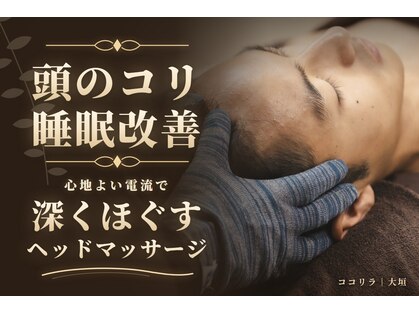 ココリラの写真