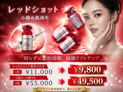 ヴィヴァン(Vivant)の写真