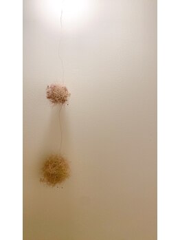 ボディ トーク ヒール コティ(Body talk Heal koti)/◇ Body talk Heal koti ◇