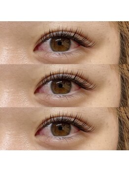 アイラッシュ ベイビーステップ(Eyelash Baby step)/フラットラッシュ140本