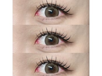 デコル(DecoL.)/【加賀デザイン】フラット120本