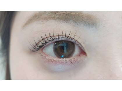 アイラッシュ ティアム(Eyelash Tiam)の写真