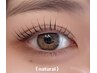 《根元から80度》パリジェンヌラッシュ　natural