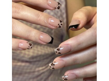 チミ(Timi)の写真