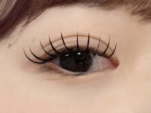 ルピナス 川口(Lupinus)/フラットラッシュ160本