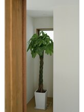 ビューティーホームサロン(Beauty Home Salon)/