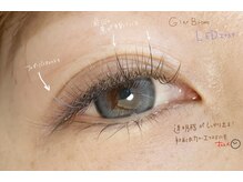 プルームミコ(Plume mico)/全体カラー120本/LED