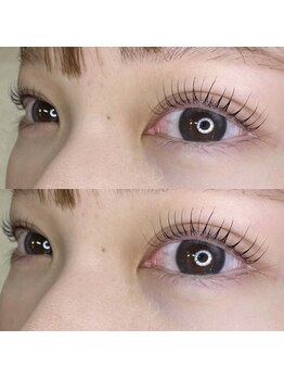 ビューティー アイラッシュ ベルウインク(Bellewink)/まつげパーマ