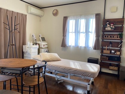 ココリ(Cocori)の写真