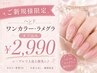 夏季限定！☆ワンカラーorラメグラクーポン【オフ込】￥2990