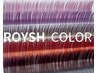 【ROYSH COLOR】カラーフラットラッシュ★全７色　120本　　[伊勢崎]