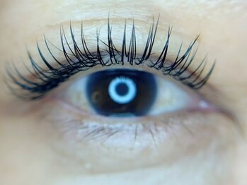サロン ザ ビューティ(SALON THE BEAUTY)の写真/自然なボリューム感で目元ぱっちり！繊細な技術と高いキープ力で華やかな目元を長く楽しめるのが嬉しい♪