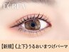 《新規》上下 潤いまつげパーマ　【¥5600】 [仙台]