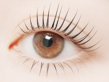 ノワール(noir)の写真/【オススメNO1！】まつげパーマでナチュラル美人に♪お客様に合わせたカール感で理想の目元に仕上げます◎