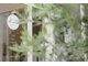 クライス ビューティー(KREIS beauty)の写真