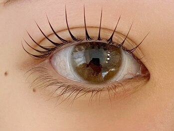 チェミール(CHEMIR)/まつげパーマ/ラッシュリフト