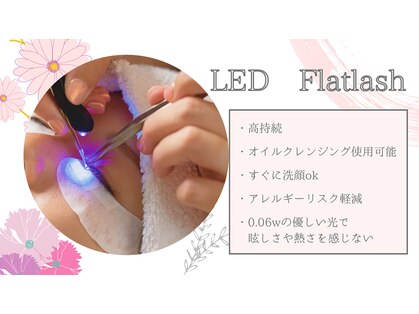ムーンパレス(Moon Palace)の写真