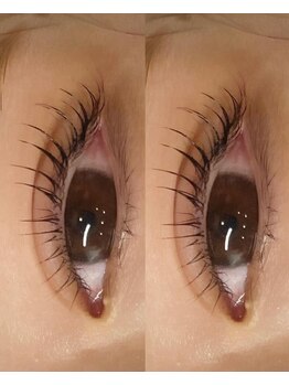 アイラッシュ シェリ(cheri)/ラッシュリフト