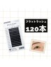【存在感がでる◎】flat lash 120本(アイシャンプー.前処理剤付) ￥5800