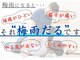 せせらぎ 三重の写真