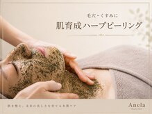 アネラ(Anela)の雰囲気（毛穴・くすみに透明感を育てる肌育成ハーブピーリング）
